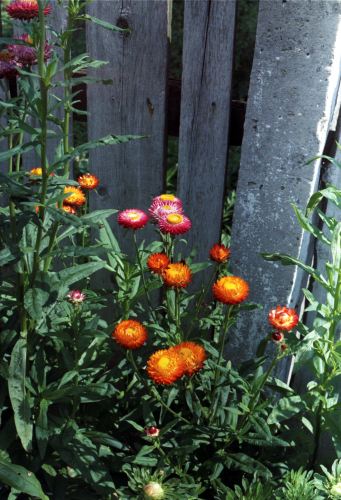 2003-09-0261-25a.jpg