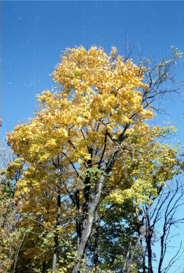 07a-2000-5842.jpg